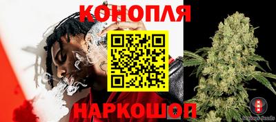 apvp Будённовск