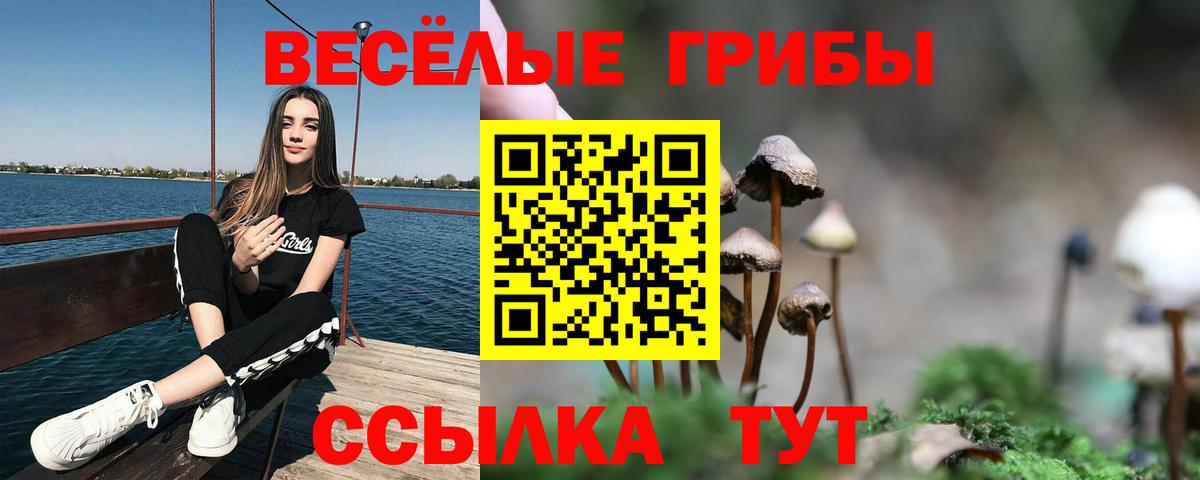 закладка  Вход с VPN  Галлюциногенные грибы GOLDEN TEACHER  Протвино  Псилоцибиновые грибы GOLDEN TEACHER 